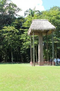 IMG_5781