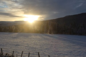 On the train to Trondheim